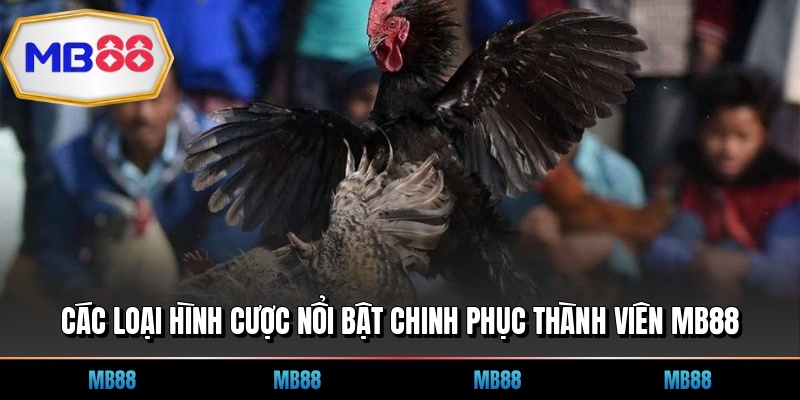 Các loại hình cược nổi bật chinh phục thành viên MB88