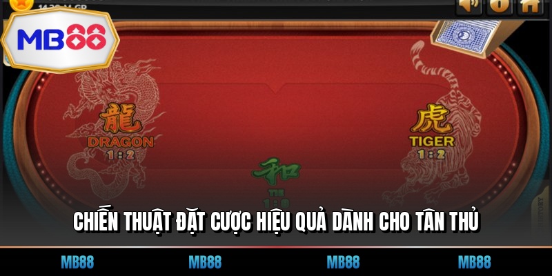 Chiến thuật đặt cược hiệu quả dành cho tân thủ