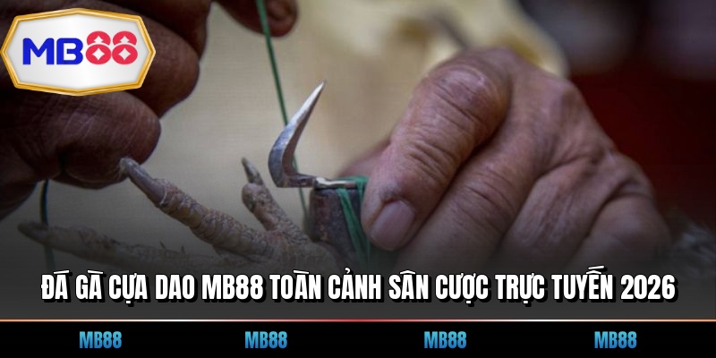 Đá Gà Cựa Dao MB88 Toàn Cảnh Sân Cược Trực Tuyến 2026