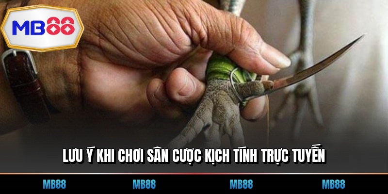 Lưu ý khi chơi sân cược kịch tính trực tuyến
