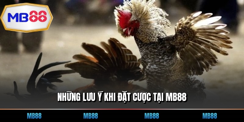 Những lưu ý khi đặt cược tại MB88