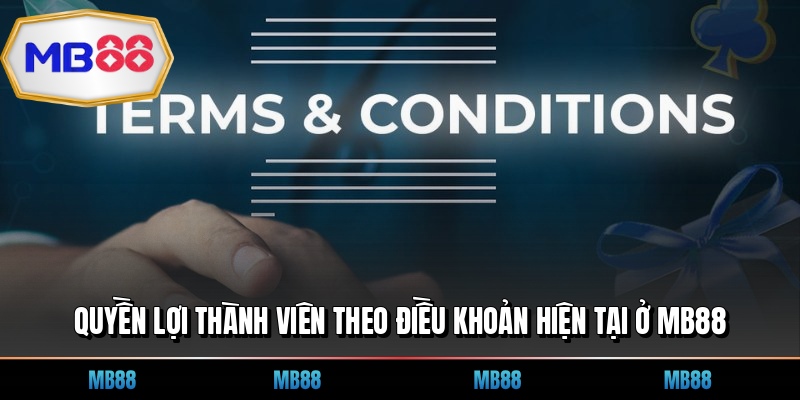 Quyền lợi thành viên theo điều khoản hiện tại ở MB88